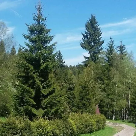 Chalet Karlov Domek alpejski